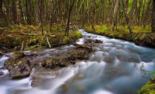 تصاویری زیبا از معروف ترین رودخانه های جهان