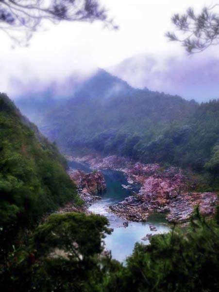 تصاویری زیبا از معروف ترین رودخانه های جهان
