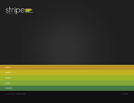 قالب حرفه ای فلش TM.27296