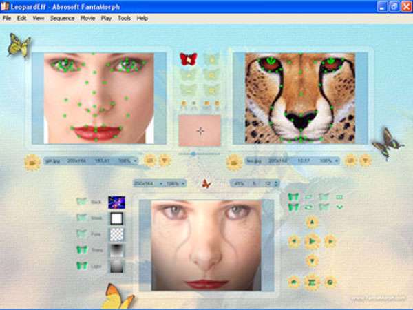 مونتاژ عكس،  Abrosoft FantaMorph Deluxe 5.2.8