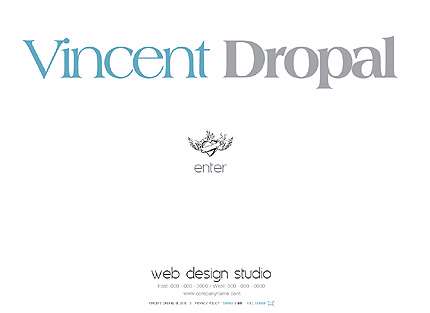 قالب حرفه ای فلش TM.27128