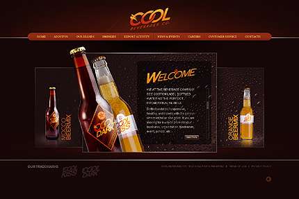 قالب حرفه ای فلش TM.27152