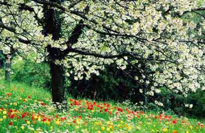 تم تقویم کامل فروردین سال91، سری چهارم