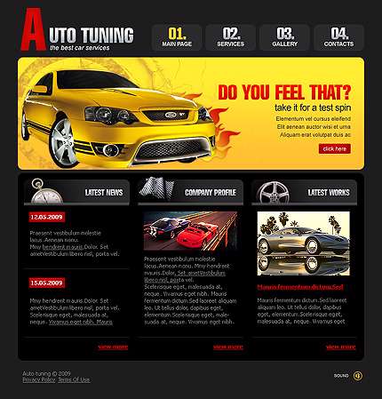 قالب حرفه ای فلش  22233