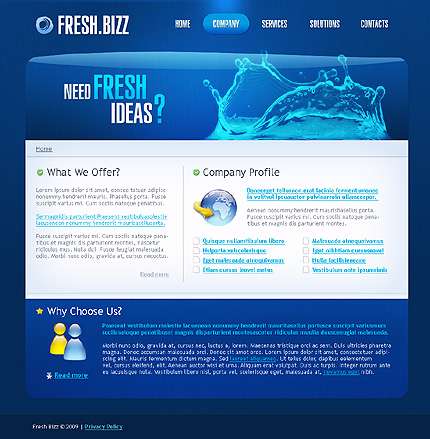 قالب حرفه ای فلش  22613