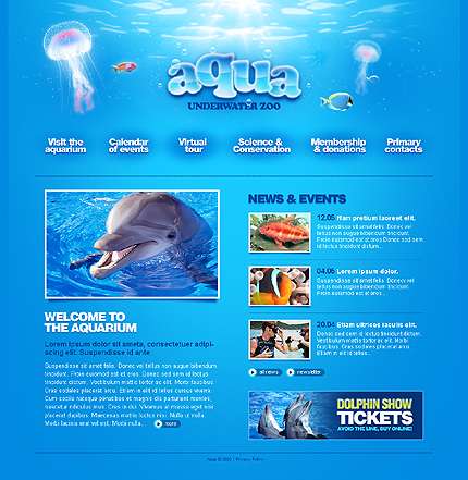 قالب حرفه ای فلش  22805