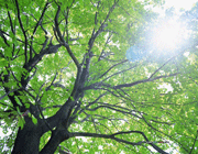 تم تقویم کامل فروردین سال91، سری دوم