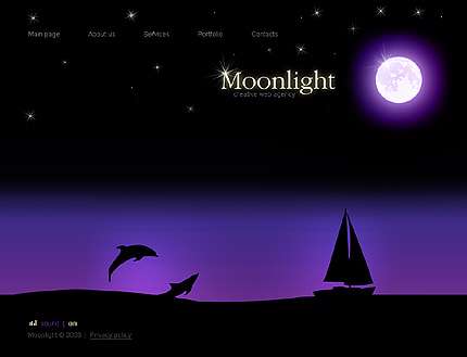 قالب حرفه ای فلش  22176