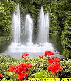 تصاویر متحرک از مناظر طبیعت برای موبایل