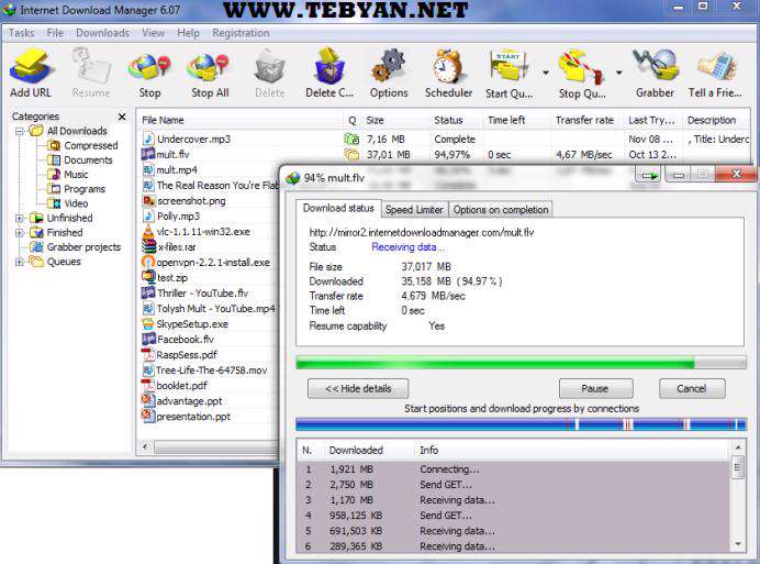 مدیریت دانلود، Internet Download Manager 6.10 Build 2 Final Retail