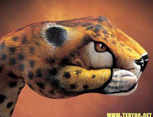 تصاویر (والپیپر) زیبا از ساختن تصاویر حیوانات با دست