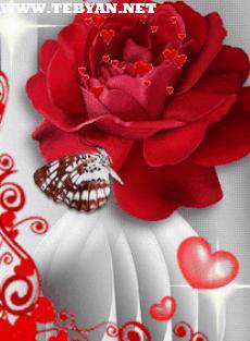 تصاویر پس زمینه متحرک برای موبایل