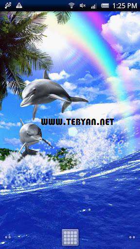 والپیپر زنده و متحرک Dolphin Rainbow v1.3.0 نسخه اندروید