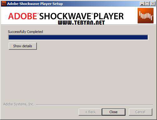 مشاهده فایل های فلش در وب، Adobe Shockwave Player 11.6.7.637