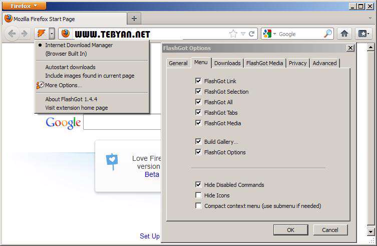 افزونه مدیریت دانلود در فایرفاكس، FlashGot 1.4.4