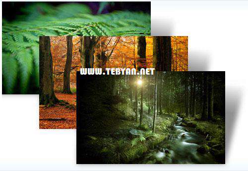پوسته (تم) زیبای جنگل های رویایی برای ویندوز7، Forests Win 7 Theme