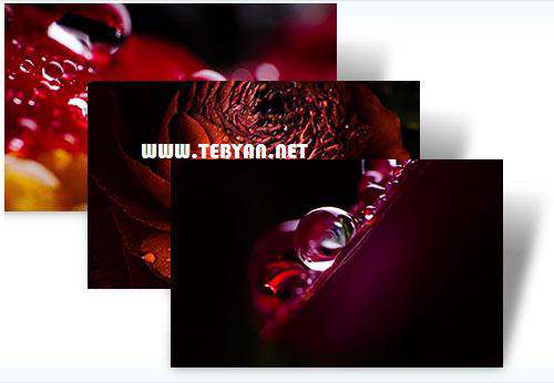 پوسته (تم) زیبای قطرات شبنم روی گل برای ویندوز7،  Waterdrops Win 7 Theme