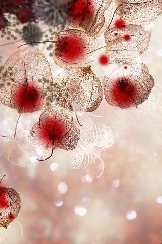 تصویر لایه باز پس زمینه گلدار با فرمت psd، سری سوم