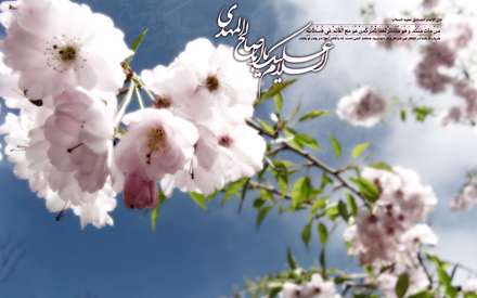 پس زمینه گل مزینبه  نام مبارک حضرت مهدی عج الله تعالی فرجه الشریف