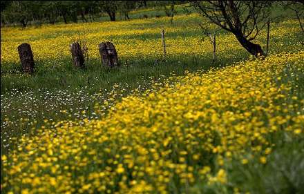 طبیعت زیبای جاده اسالم به خلخال رشت در قاب تصاویر