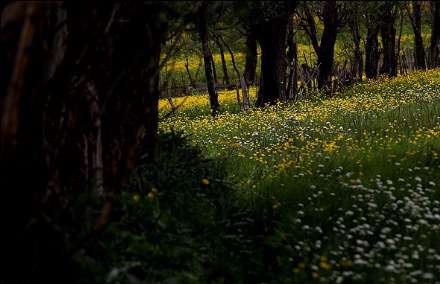 طبیعت زیبای جاده اسالم به خلخال رشت در قاب تصاویر