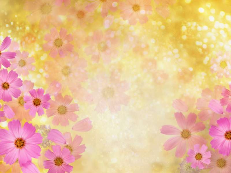 تصویر لایه باز پس زمینه گلدار با فرمت psd، سری چهارم