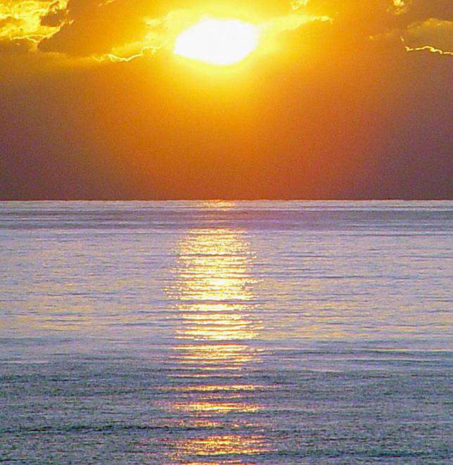 ساخت یک تصویر منعکس شده در آب توسط فوتوشاپ