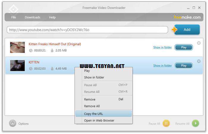 دانلود ویدیوهای آنلاین، Freemake Video Downloader 3.1.1.0