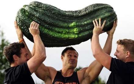 برگزاری مسابقات "بزرگترین سبزیجات دنیا" در انگلستان!