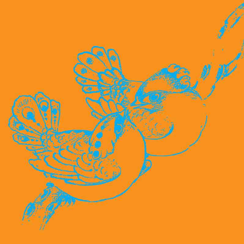 مجموعه براش های تبیان، مرغ مینیاتوری، سری دوم 