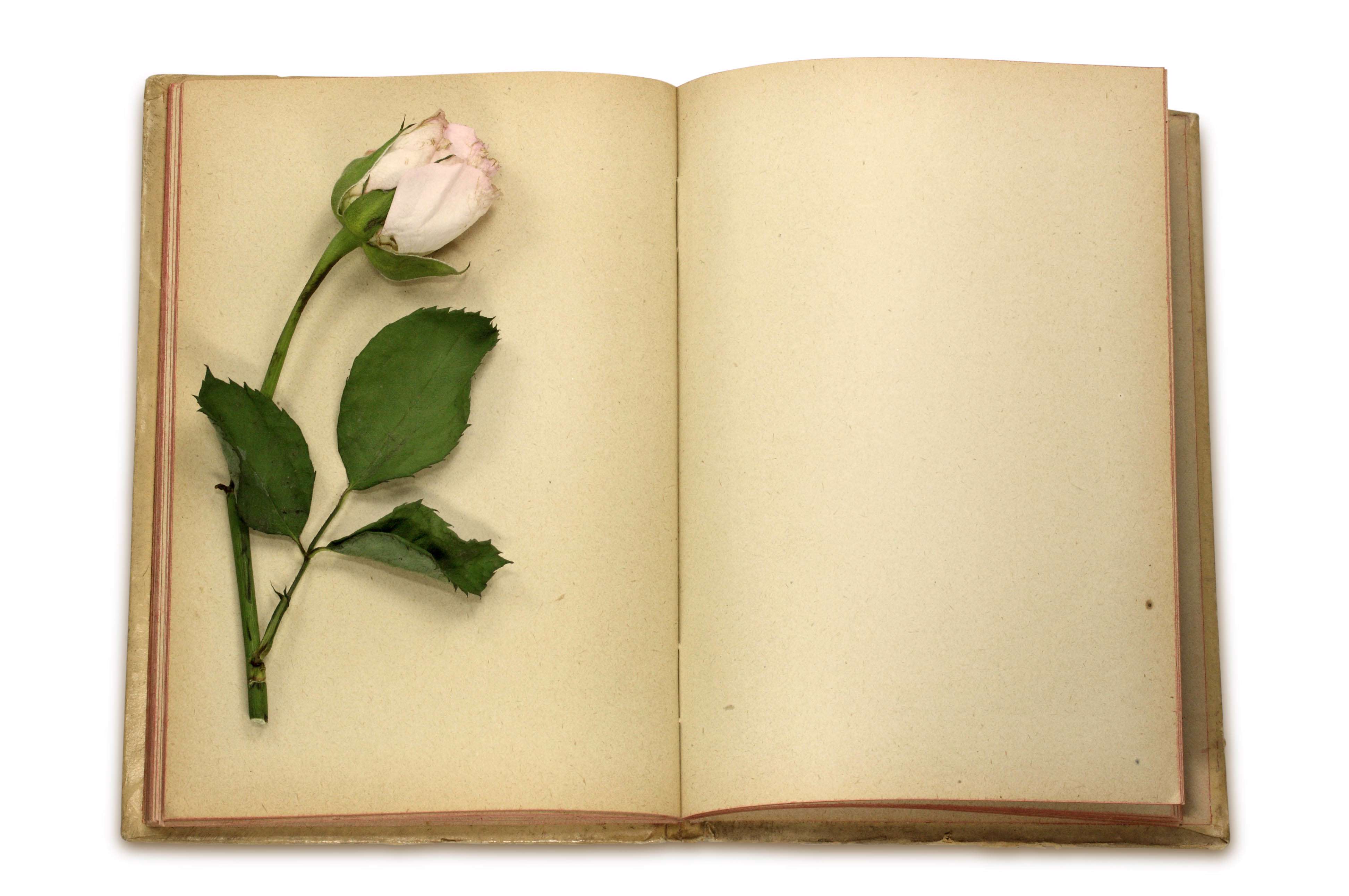 Книги картинки открытки Книги картинки открытки