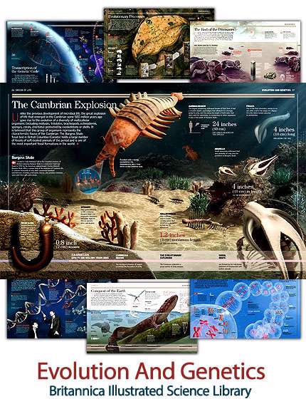 کتاب مصور بریتانیکا با موضوع تکامل و ژنتیک