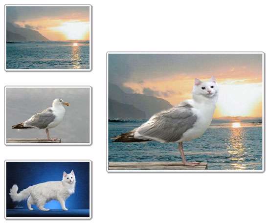 ویرایش و ترکیب تصاویر، FotoMix 9.2.4