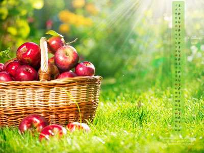 تصاویر پس زمینه زیبا به همراه تقویم اردیبهشت ۹۲