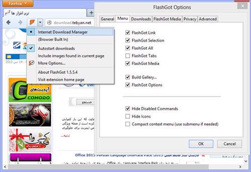 افزونه مدیریت دانلود در فایرفاكس، FlashGot 1.5.5.4