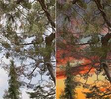 جداسازی و تغییر زمینه تصاویر، Vertus Fluid Mask 3.2.5