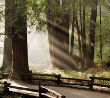 مجموعه 20 عکس از مناظر کوه و دشت