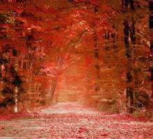 تم تقویم مهر ماه سال 92 در اندازه 1280.800