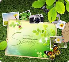 تصاویر لایه باز وب (Wb Psd)