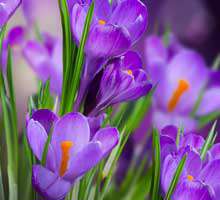 تم تقویم مهر ماه سال 92 در اندازه 1440.900