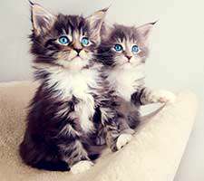 تقویم آبان ماه سال92 به همراه تصاویر زیبا، سری دوم