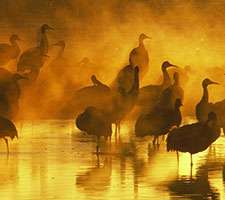 تقویم دی ماه سال92 بهمراه تصاویر زیبا، سری اول 