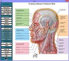 دانلود Interactive Atlas of Human Anatomy دایرة المعارف گویای آناتومی بدن انسان
