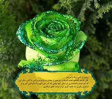 پوسته و والپیپر احادیث روزانه تبیان (سری هفتاد و هفت)