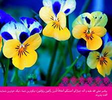 پوسته و والپیپر احادیث روزانه تبیان (سری هفتاد و شش)