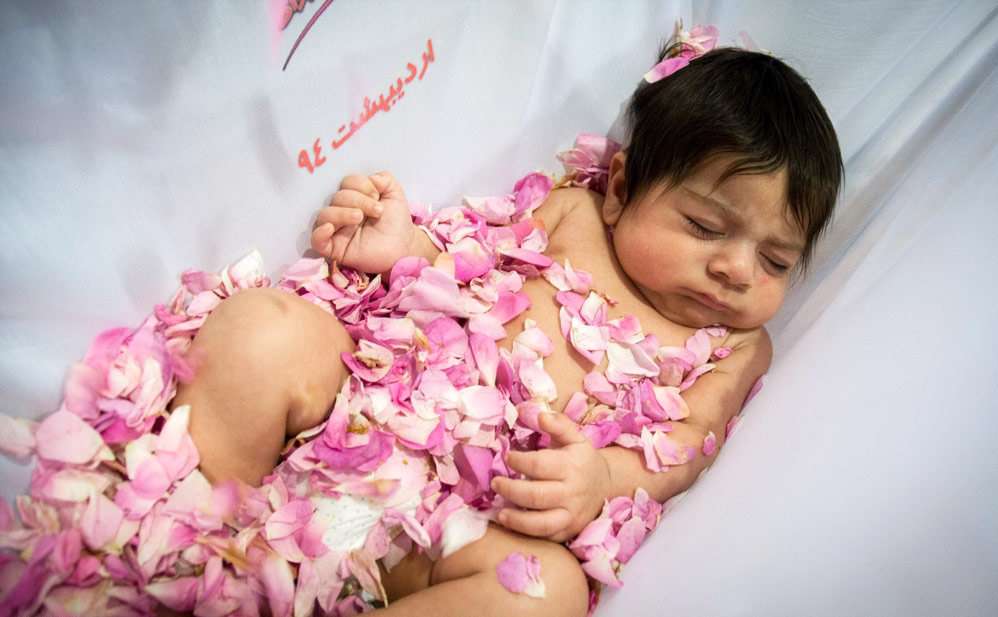 آیین سنتی گل غلتان آیین سنتی گل غلتان