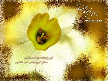 پوسترمذهبی، امام موسی کاظم، ولادت