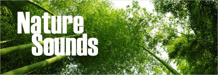 دانلود نرم افزار صدای طبیعت 2.9.3 Nature Sounds برای اندروید