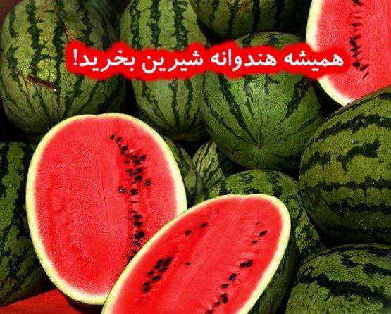 دانلود برنامه همیشه هندونه شیرین بخر (راهنمای خرید هندوانه) برای اندروید