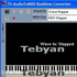 TS-AudioToMIDI Converter v3.30